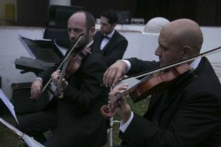 Orquesta Real de Xalapa - 10