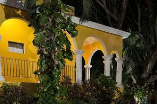Eventos Royal - 7