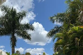 Hacienda Yaxnic - 8