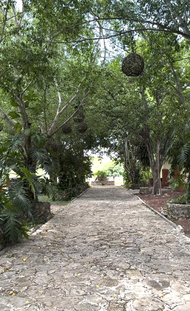 Hacienda Yaxnic - 4