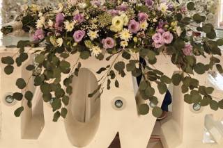 Apolo Eventos - 5