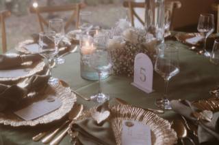 Aura Wedding Planner - 5