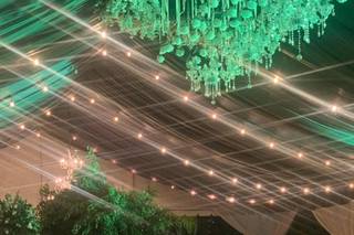 Garden Palace - 6