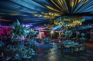 Stiff Barrón el Joven de las Fotos - 8