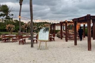 Natural Flowers - 10