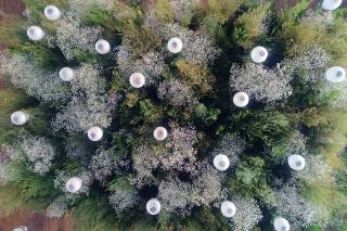 Concepto Floral - 26