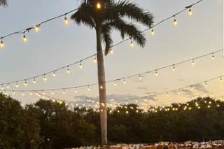 Disari Events Planner - 14