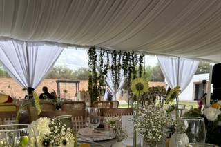 Eventos & Decoraciones Rojas - 7