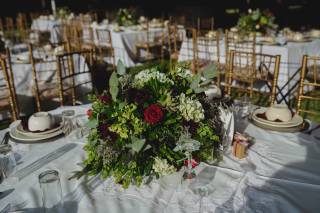 Hacienda Real de Velasco - 32