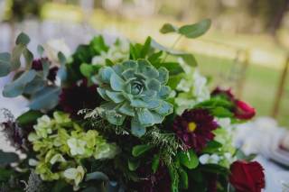 Hacienda Real de Velasco - 33