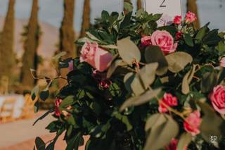 San Cosme Viñedos - 15