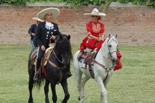 Cortijo Rancho El Quemado - 12