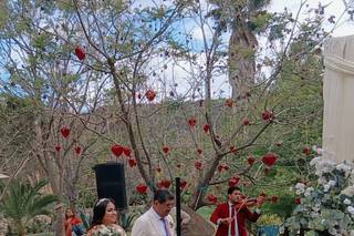 Gaby Garrido - Event Planner - 7