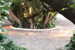 Hacienda Teya - 6