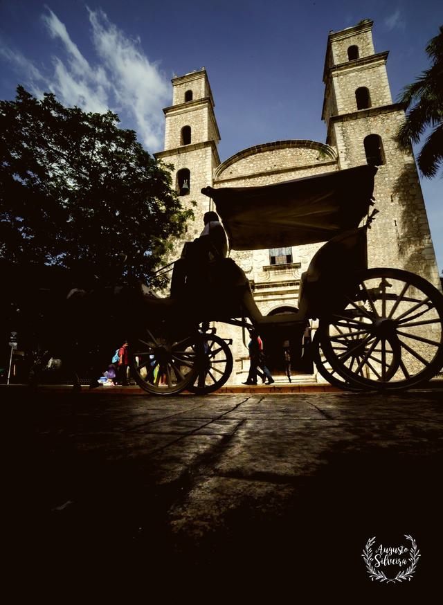 Augusto Silveira - 2