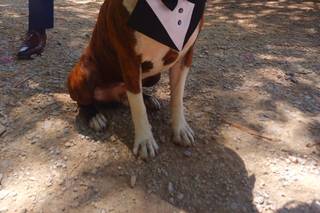 Samantha Fortanell Wedding Planner - 12