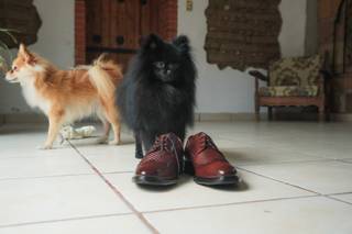 Jardín Cali Coanatl - 23