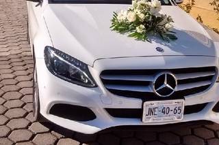 Swing Transportación - 9