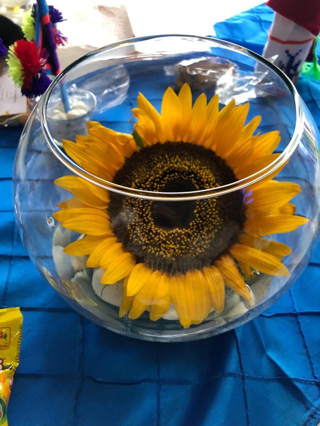 Wish Bucket - 2
