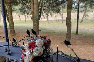 Boschetto Eventos - 15