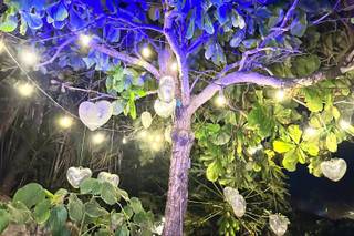 Las Brisas Ixtapa - 19