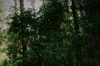 Hotel El Paraíso - 8