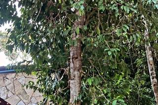 Decoración Floral Cancún - 32