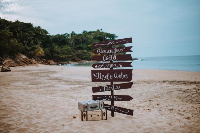 Papillon Making Dreams - 1