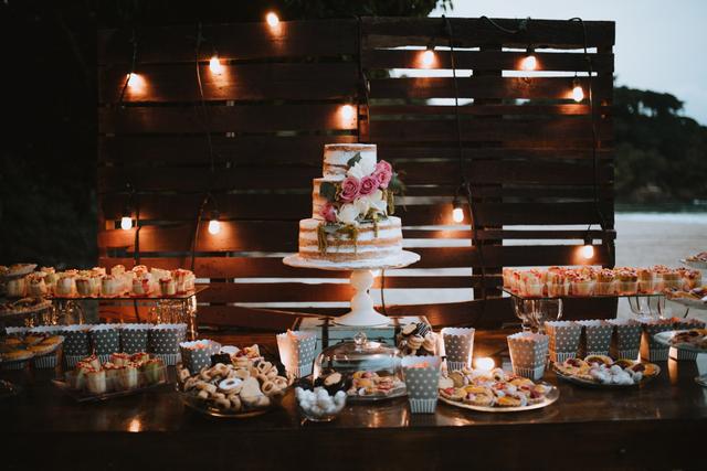 Papillon Making Dreams - 3