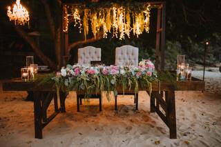 Papillon Making Dreams - 7