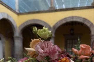 Fany Valencia - 4