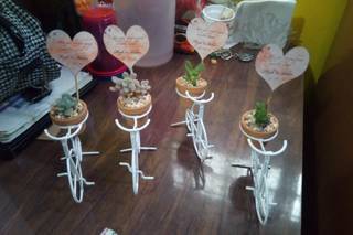 Vinde - Plantas y Artesanías - 6