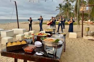 Papillon Making Dreams - 12