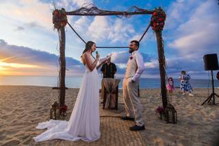 Papillon Making Dreams - 13