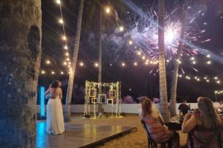 Papillon Making Dreams - 14