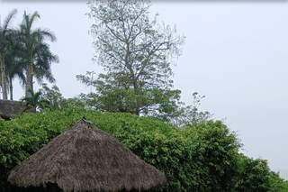 Grand Palladium Vallarta Resort & Spa - 13