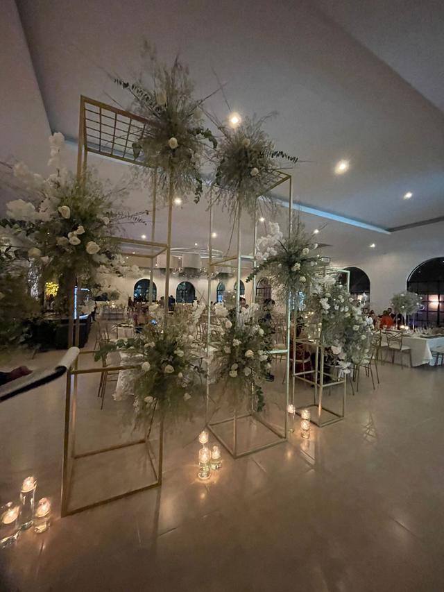 Hacienda Ana Victoria - 1