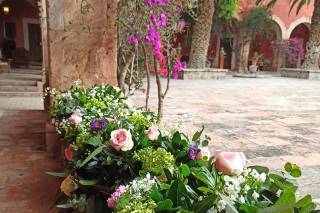 Tropical Flores & Suculentas Studio - 4
