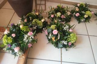 Tropical Flores & Suculentas Studio - 5