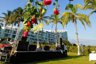 Con Flores Detalles y Eventos - 7