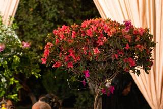 Florentina Event Planner - 10