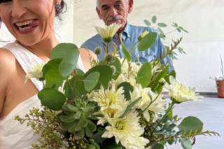 Blooming Dahlia - 12