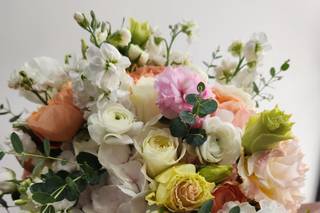 Blooming Dahlia - 10