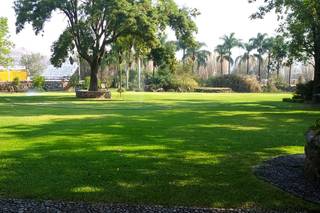 Cortijo Los Fernández - 11