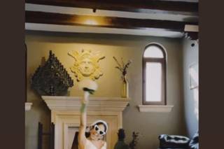 José Zavala Fotógrafo - 8