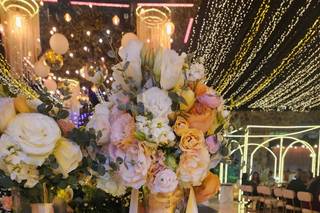 Blooming Dahlia - 11