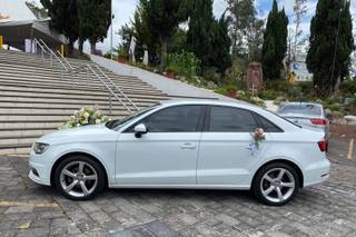 Luis Guizar Auto - 6