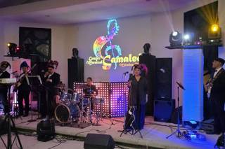 Grupo Musical Camaleón - 5
