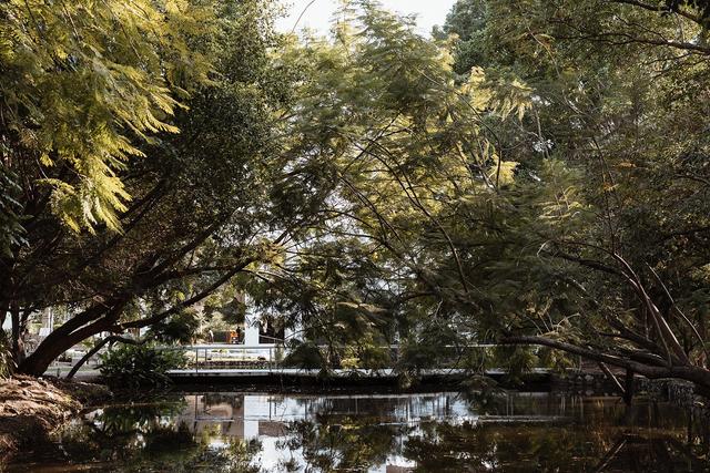 Rancho Macloy - 1