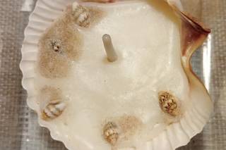 Huitzilin Arte - 4